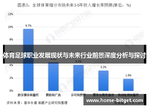 体育足球职业发展现状与未来行业前景深度分析与探讨