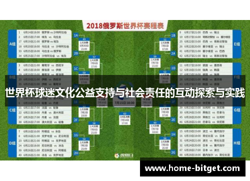 世界杯球迷文化公益支持与社会责任的互动探索与实践